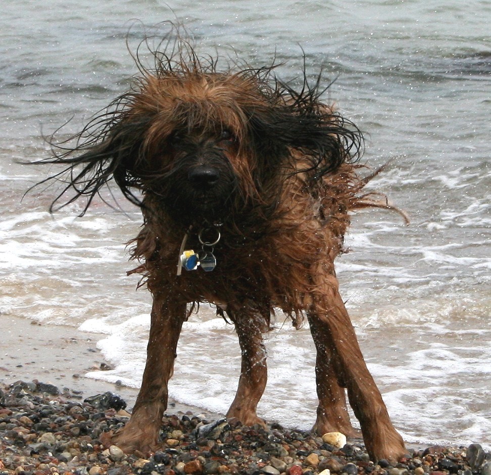 Whoopi am Meer (2008)