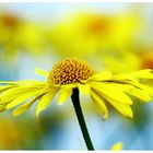 Why wait for summer?