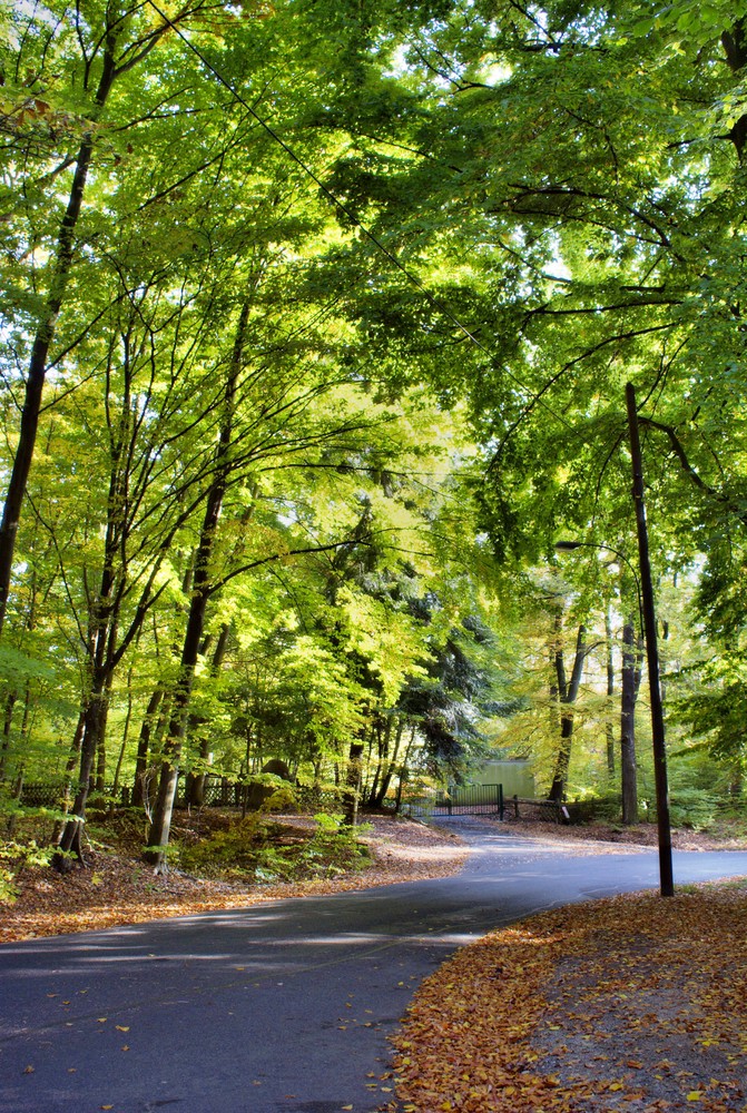 WI - Neroberg - Frühling im Herbst