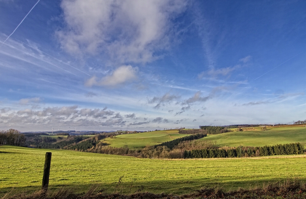 Wiblingwerder Land 03