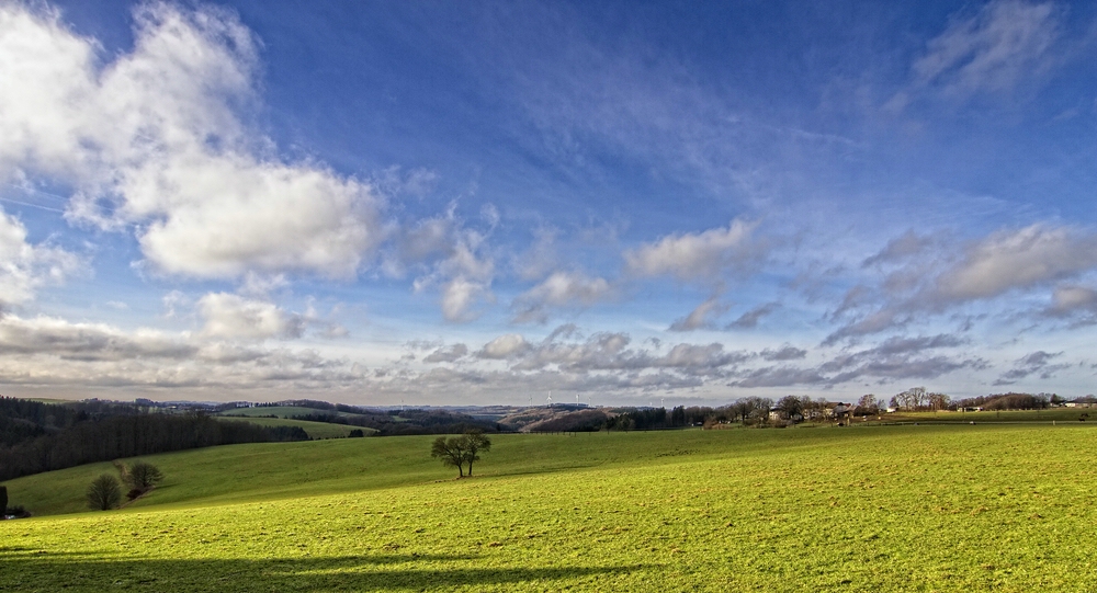 Wiblingwerder Land