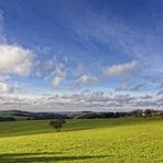 Wiblingwerder Land