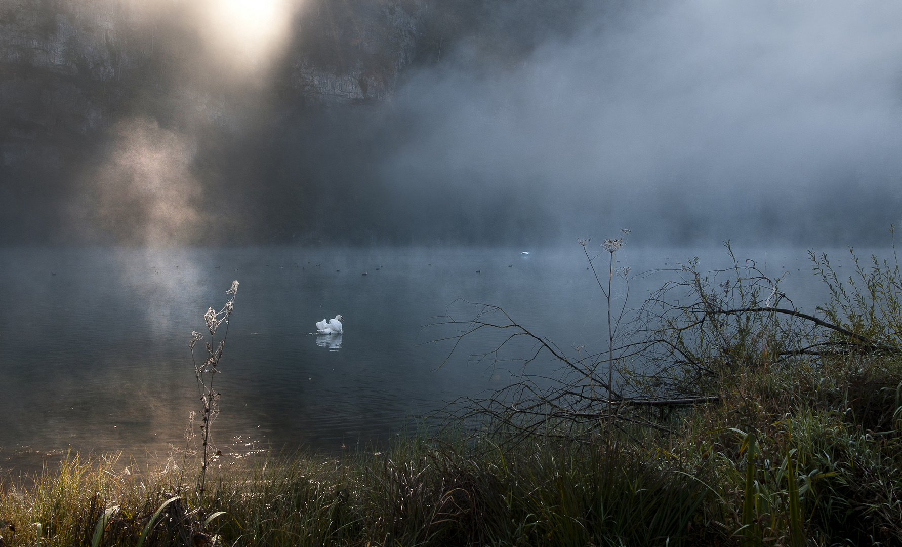 Wichelsee im Nebel