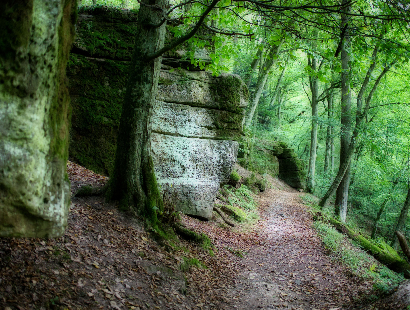 Wichtelhöhlen bei Bad Kissingen