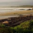 Wickaninnish Beach