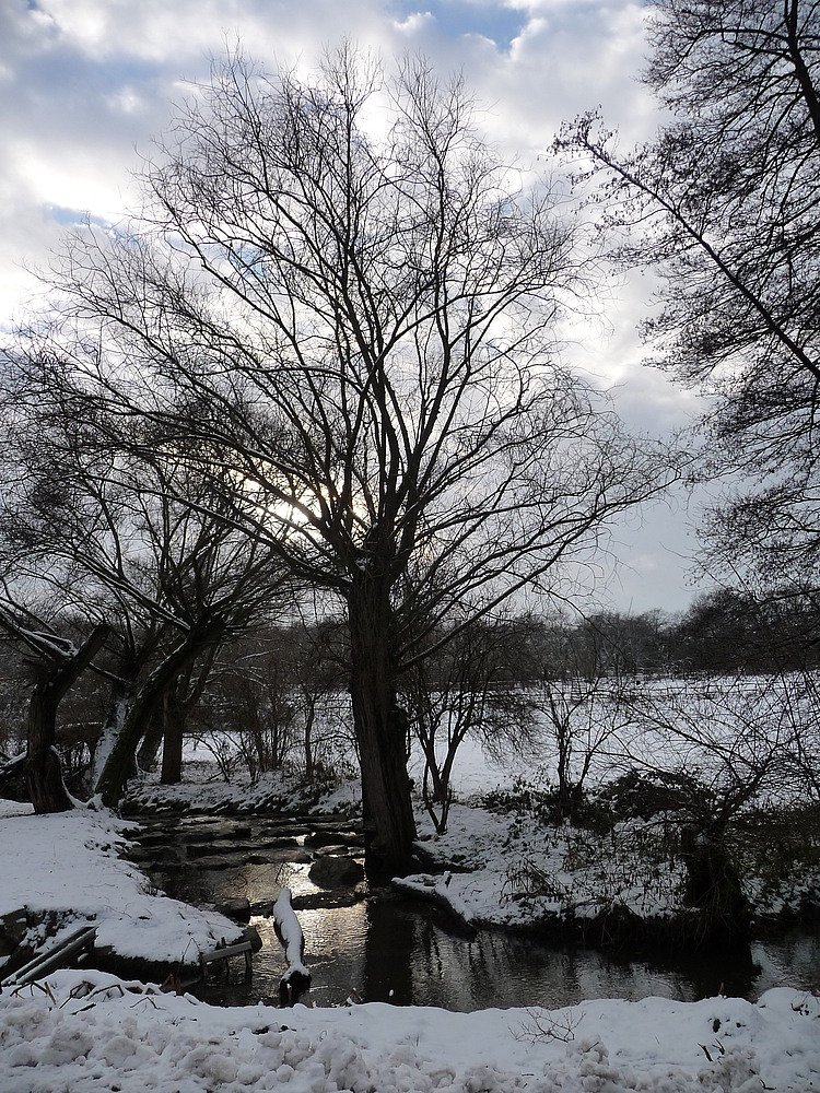 Wickerbach im winterlichen Kleid