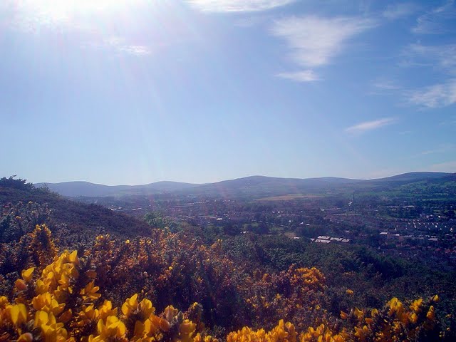 Wicklow and Dublin mounains