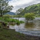 Wicklow Mountain Lower Lake