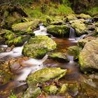 Wicklow-Mountain-Nationalpark