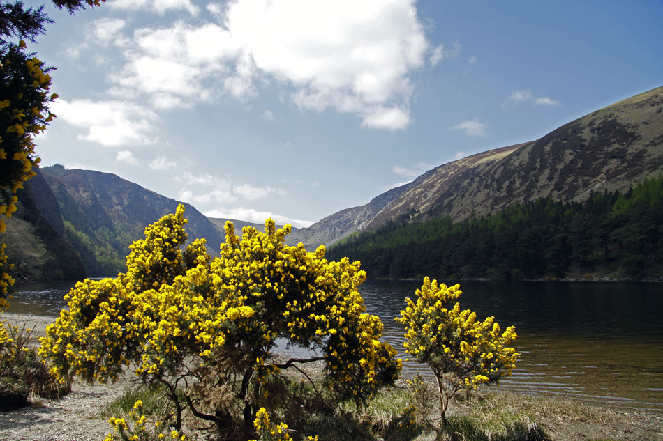 Wicklow mountains