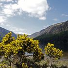 Wicklow mountains