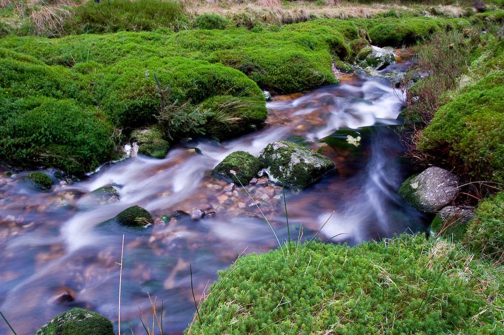 Wicklow Mountains