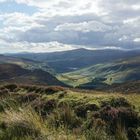 Wicklow Mountains