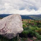 Wicklow Mountains