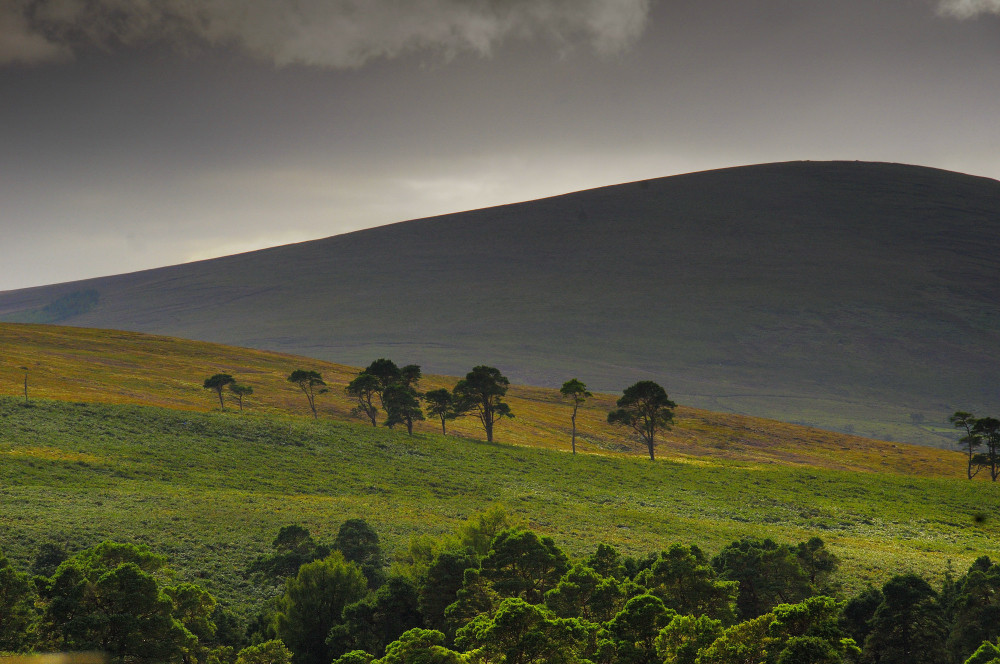 Wicklow Mountains