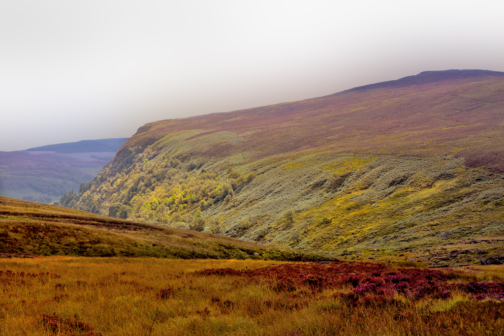 Wicklow Mountains