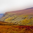 Wicklow Mountains