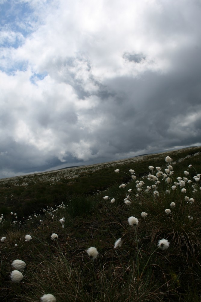 Wicklow Mountains