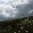 Wicklow Mountains