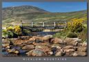 County Wicklow and  Wicklow Mountains