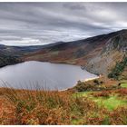 Wicklow Mountains