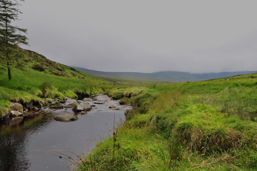 Wicklow-Mountains