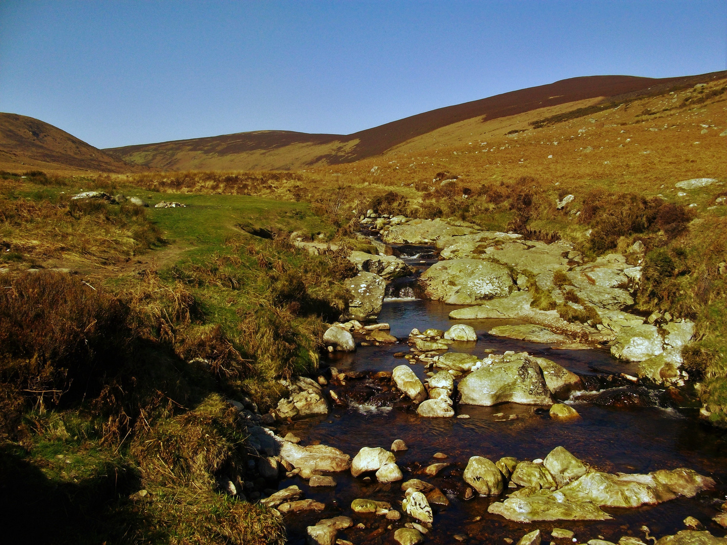 Wicklow Mountains I