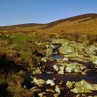 Wicklow Mountains I