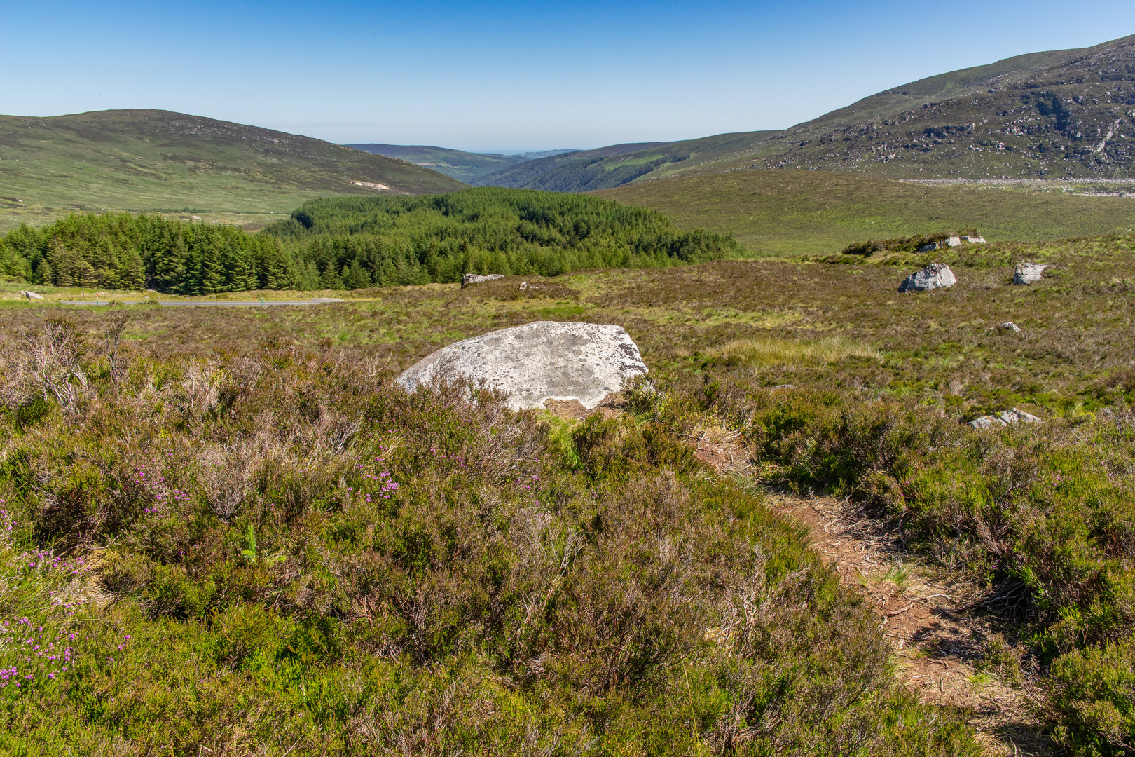 Wicklow Mountains II - Irland