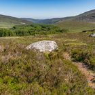 Wicklow Mountains II - Irland