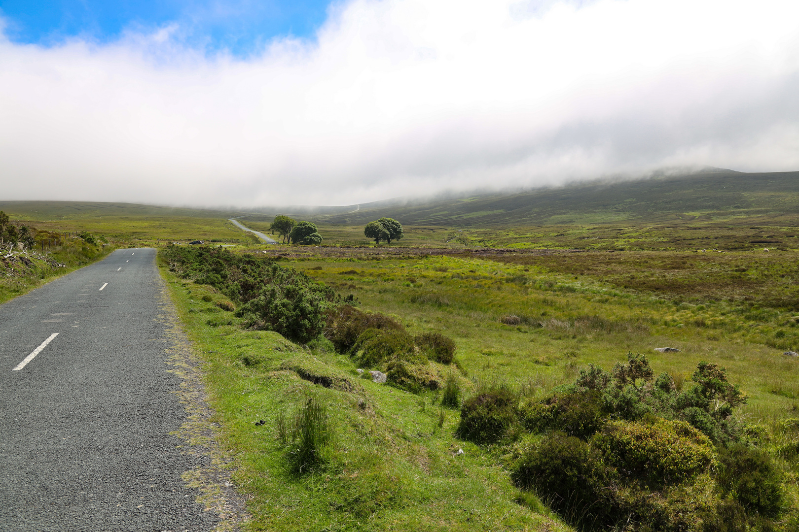 Wicklow mountains (in Wolken)