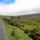 Wicklow mountains (in Wolken)