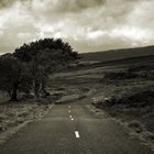 Wicklow Mountains - road to nowhere