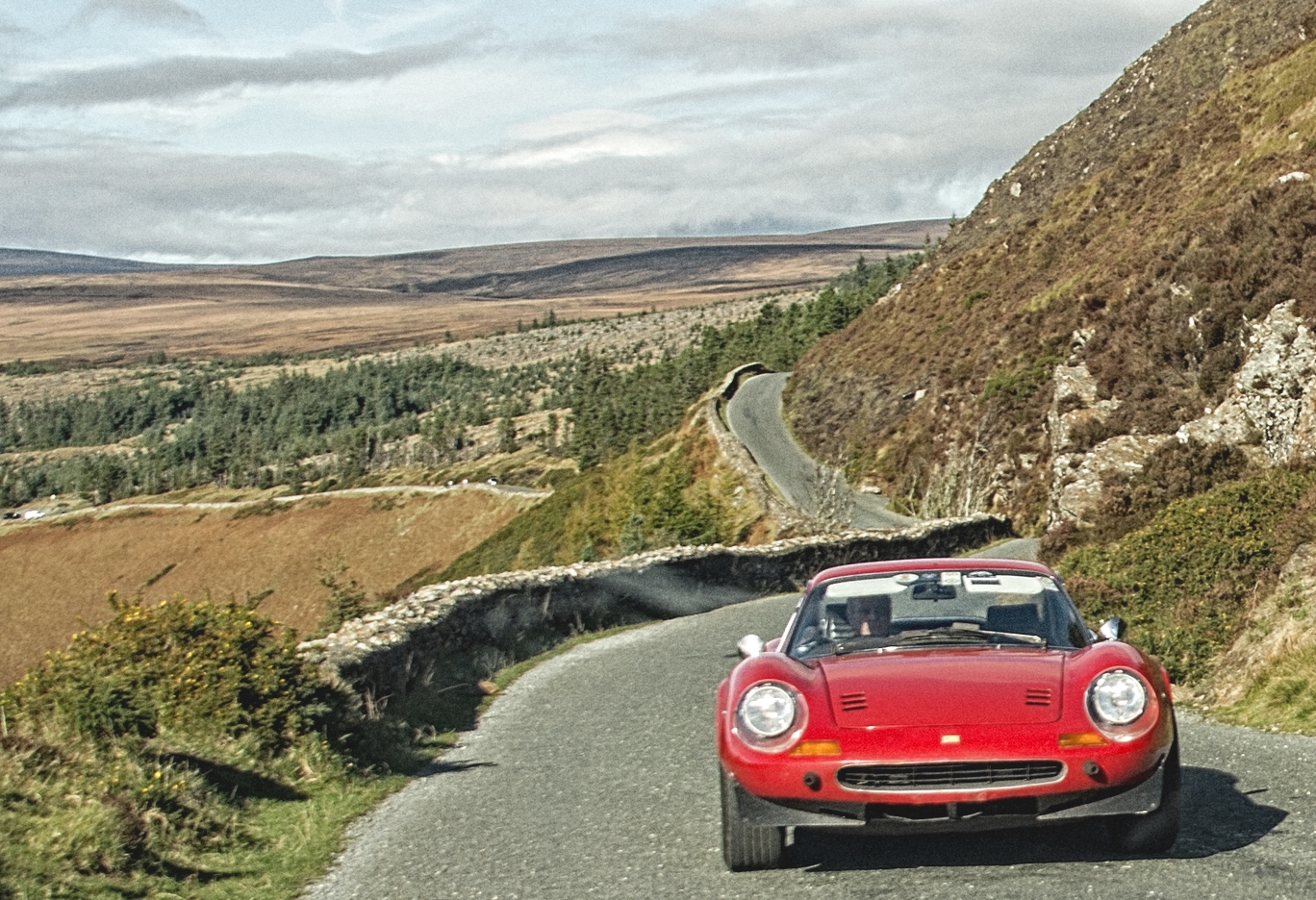 Wicklow Mountains, Tour im Dino