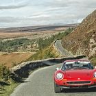 Wicklow Mountains, Tour im Dino