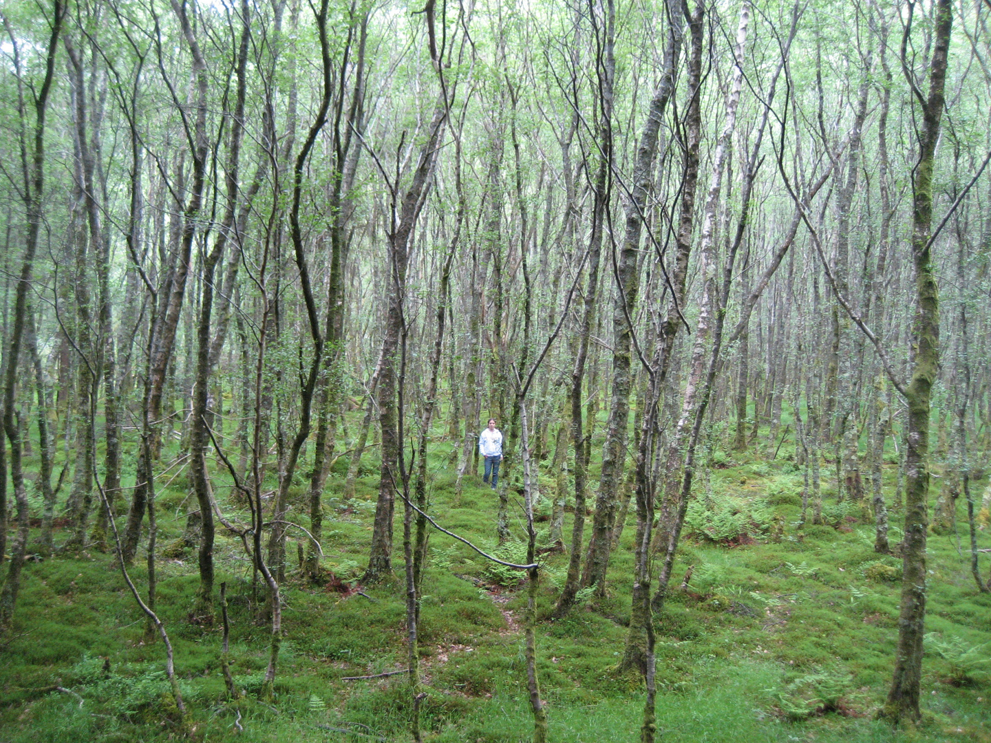 Wicklow National Park