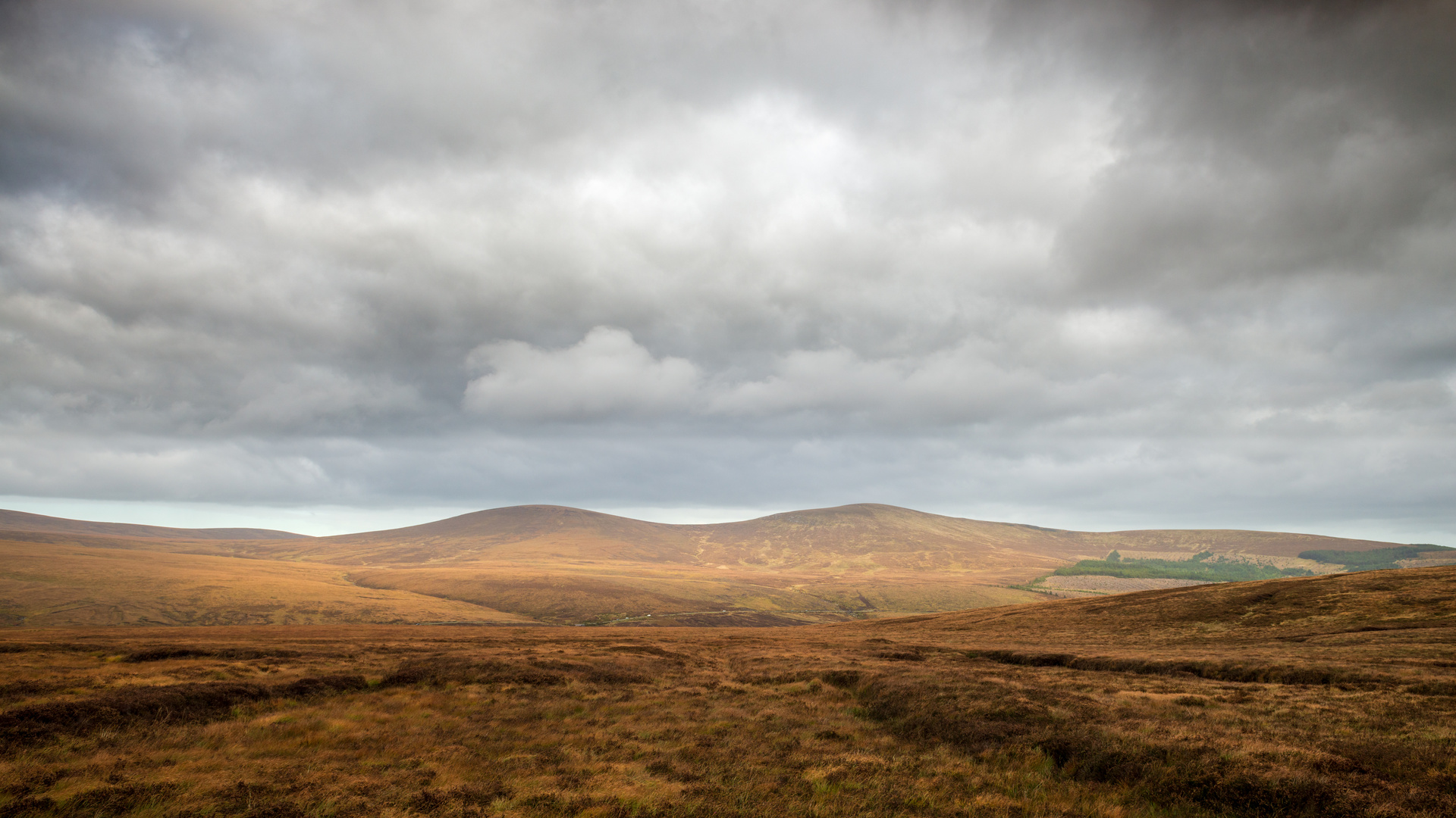 Wicklow National Park