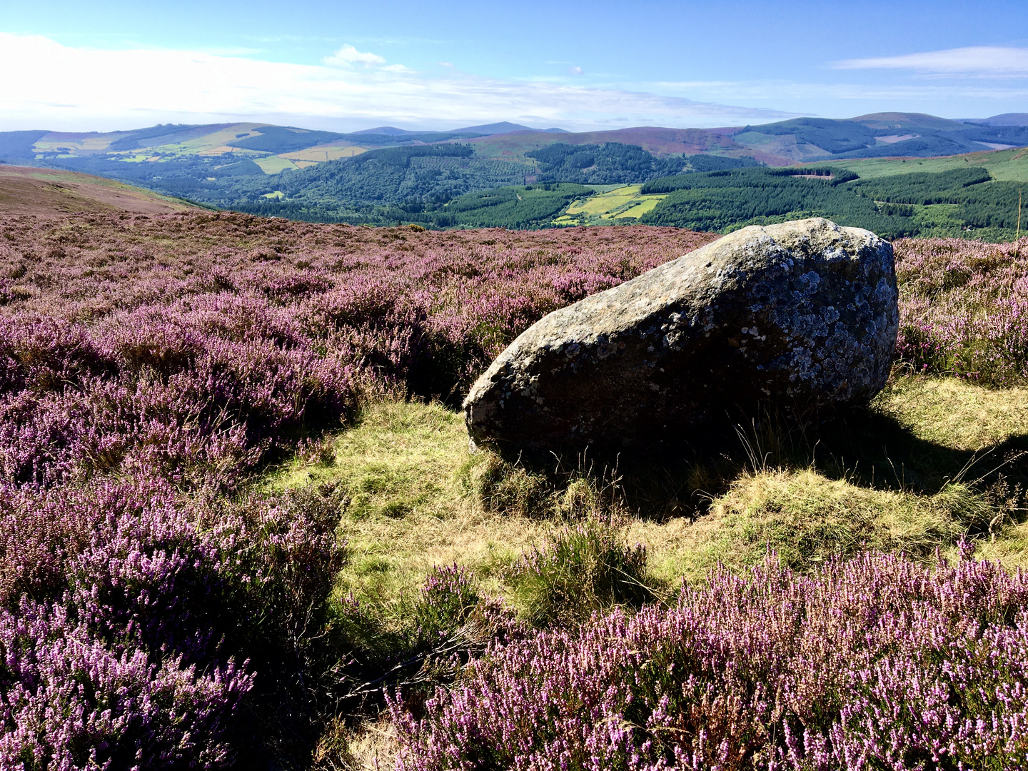 Wicklow Way Irland