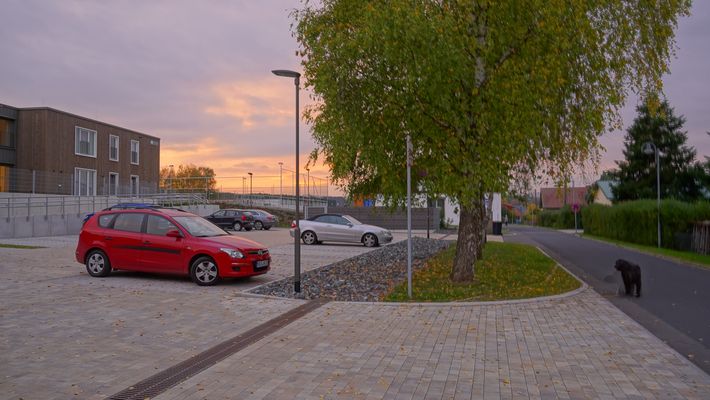 Wicky-Emily auf dem nach-Hause-Weg