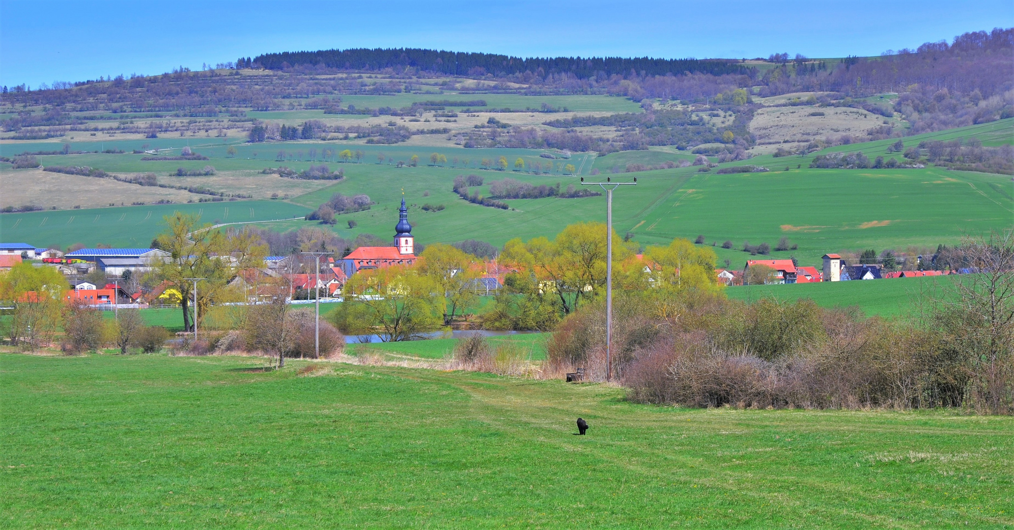 Wicky-Emily auf dem Nach-Hause-Weg