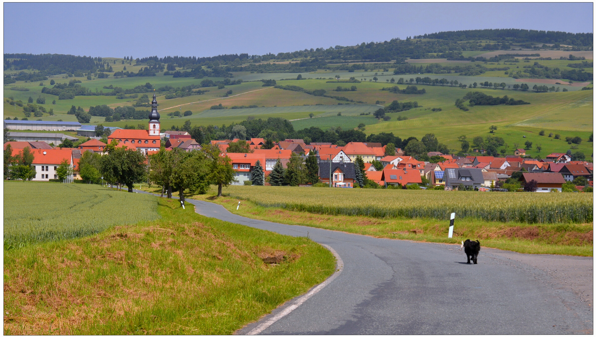 Wicky-Emily auf dem Weg nach Hause II (Wicky-Emily en el camino a casa II)