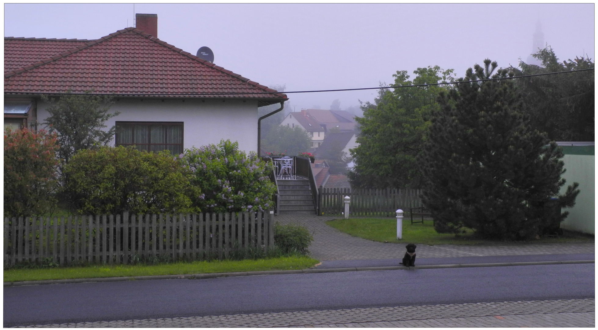 Wicky-Emily bewacht ihr Haus (Wicky-Emily está vigilando su casa)