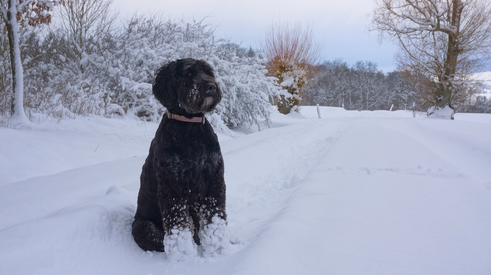 Wicky-Emily im Schnee (Wicky-Emily en la nieve)