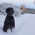 Wicky-Emily im Schnee (Wicky-Emily en la nieve)