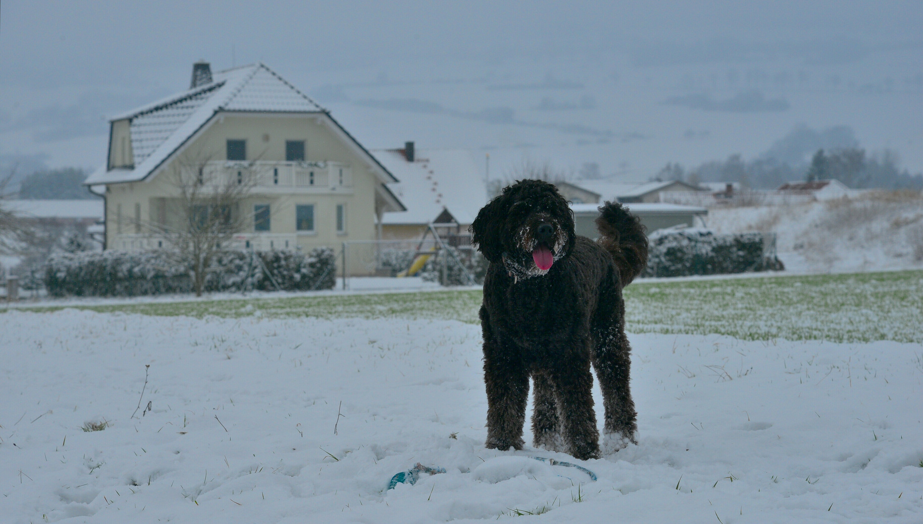 Wicky-Emily im Schnee (Wicky-Emily en la nieve)