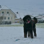 Wicky-Emily im Schnee (Wicky-Emily en la nieve)