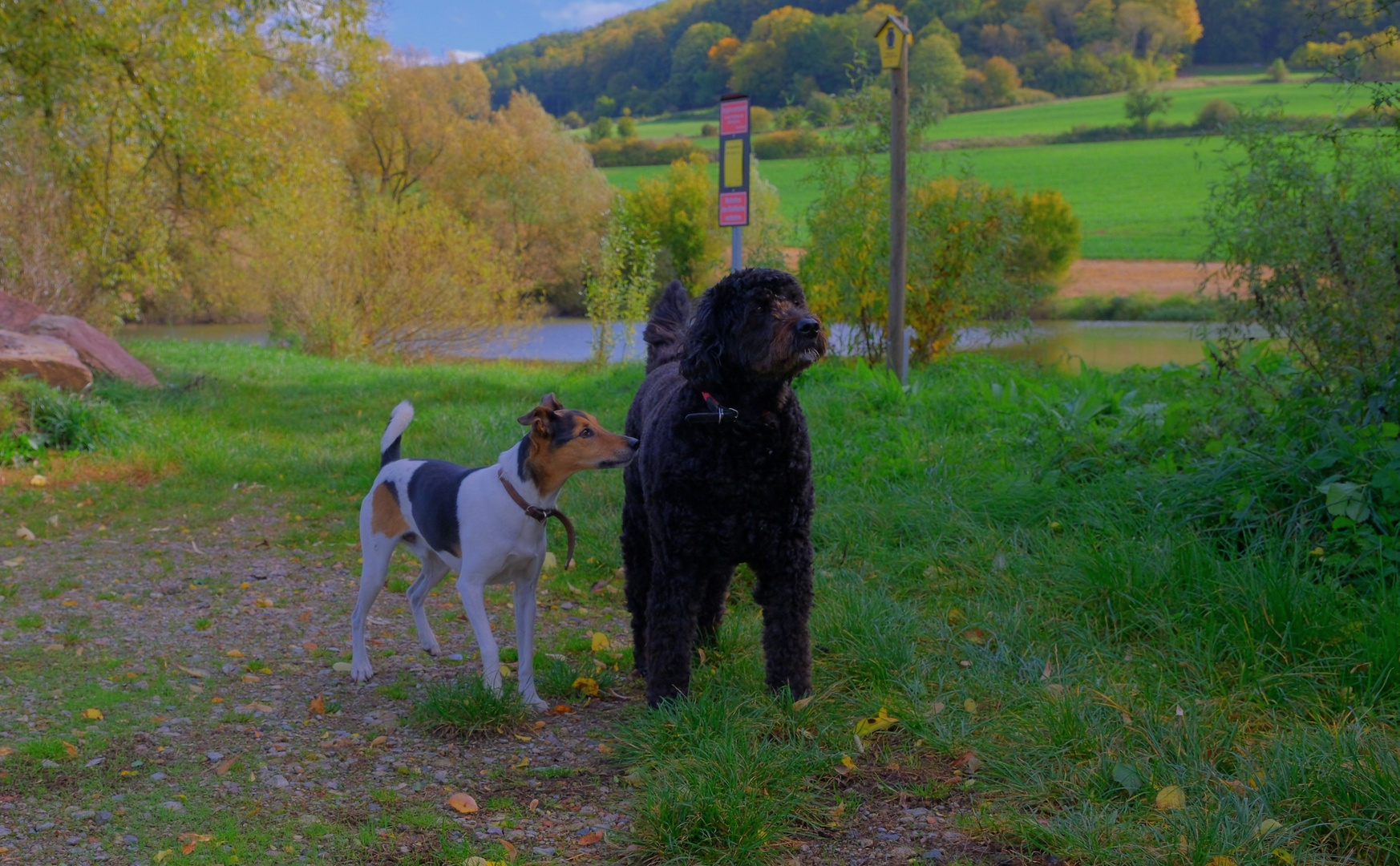 Wicky-Emily mit ihrem neuen Freund