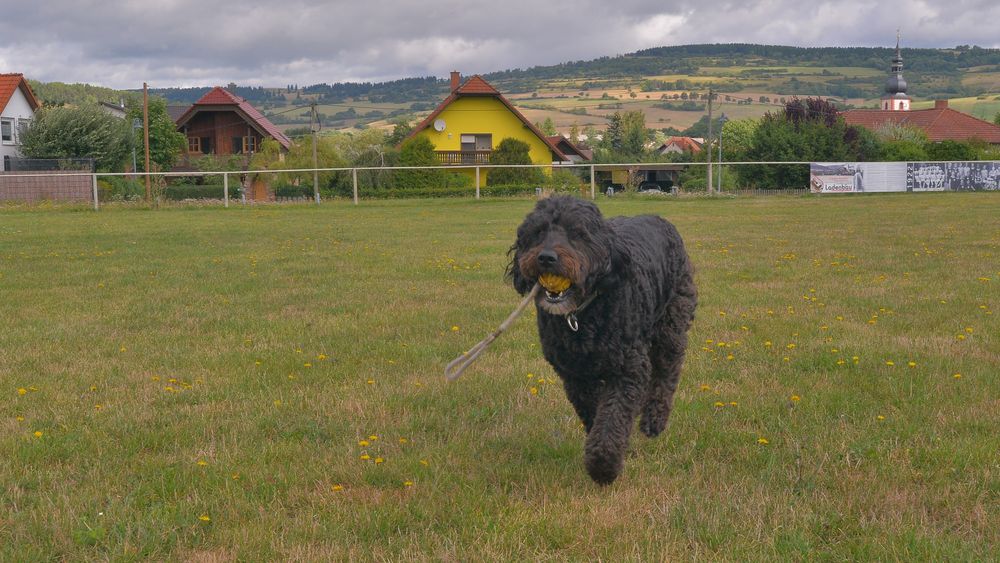 Wicky-Emily mit ihrem Spielzeug (Wicky-Emily con su juguete)