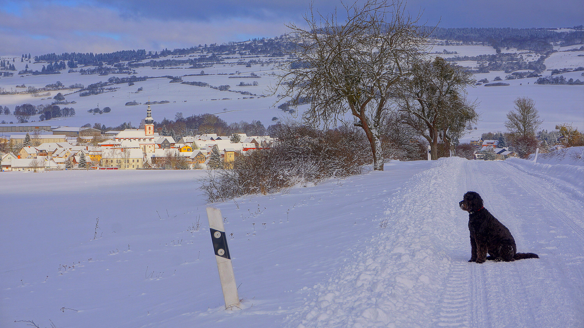 Wicky-Emily schaut sich die Winterlandschaft an (Wicky-Emily está mirando el paisaje invernal)