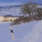 Wicky-Emily schaut sich die Winterlandschaft an (Wicky-Emily está mirando el paisaje invernal)